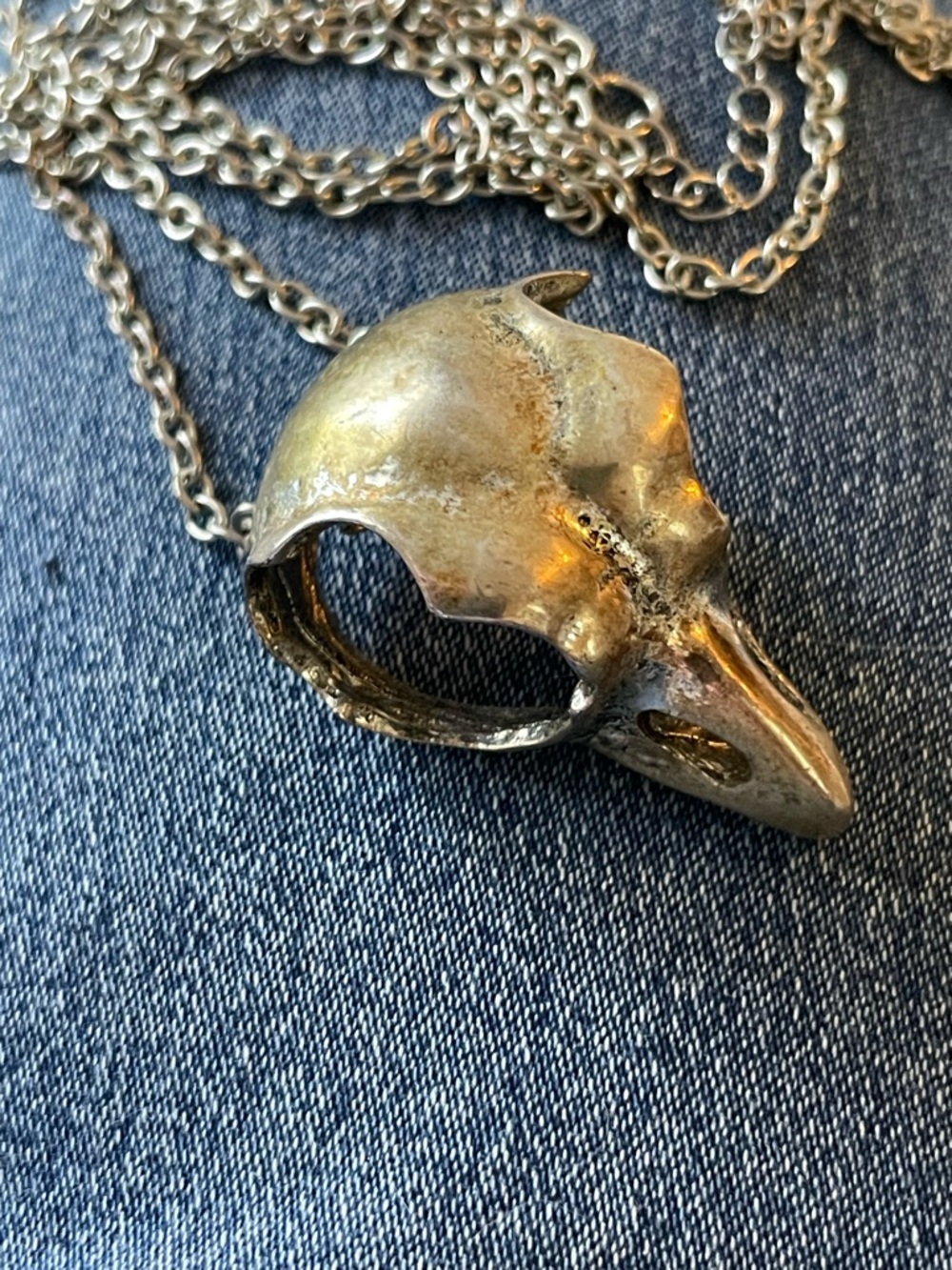 Bird Skull Pendant Necklace in Antiqued Silver Tone